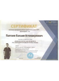 Сертификат Палтаев